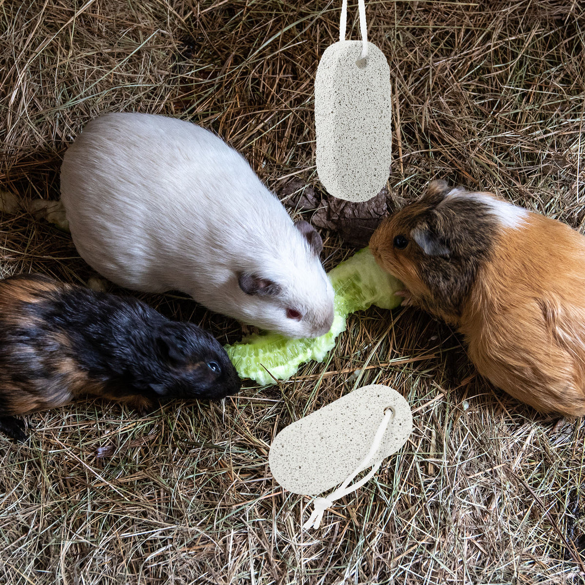 5Pcs Hamster Teeth Pumice Stone Bunny Molar Chew Toy Rabbit Volcanic Rock Chinchilla Grinding Pet Supply Bedding Litter